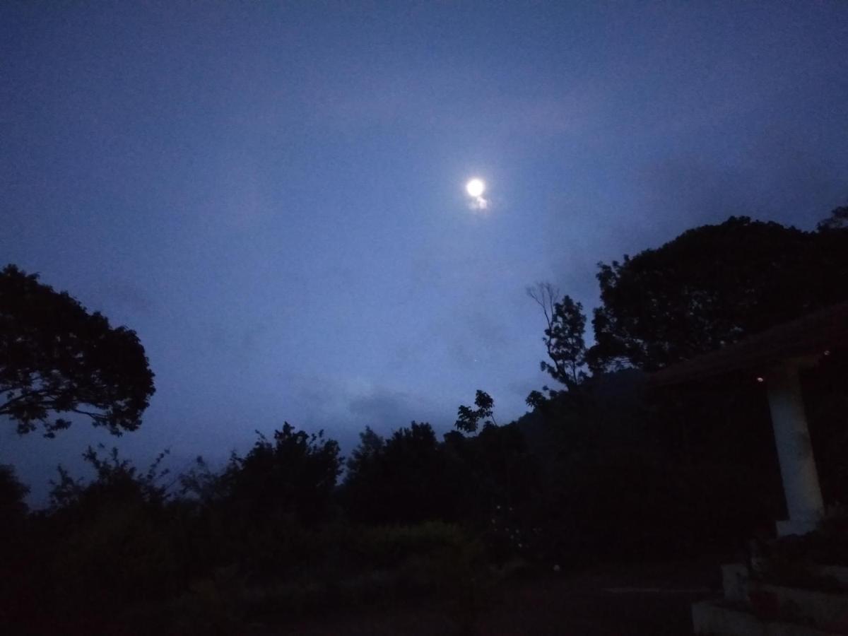 מדיקרי Abiyal Mountain Stay מראה חיצוני תמונה